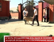 В честь праздника Ид аль-Адха в селении Аллерой прошла благотворительная акция