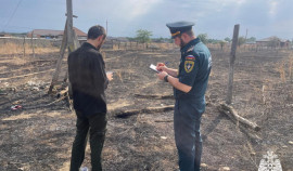 В Чеченской Республике составлено 432 протокола за сжигание ландшафта