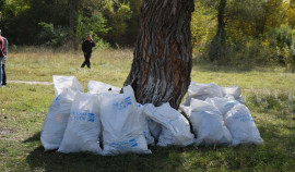 В Шелковском районе прошла экологическая акция