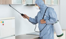 Роспотребнадзор советует проводить ежедневную дезинфекцию помещений из-за COVID-19