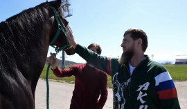 В Грозном начнётся строительство нового конного завода «АХМАТ»