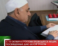 С 15 октября в России проводятся акции, посвященные Дню Белой трости