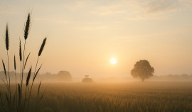 Более миллиона россиян пройдут тест на знание сельского хозяйства России