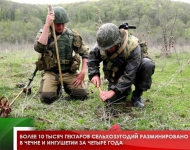 Более 10 тысяч гектаров сельхозугодий  разминировано в Чечне и Ингушетии за четыре года