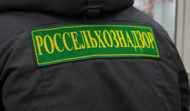 В преддверии весеннего сева Россельхознадзор проводит выездные рабочие встречи в ЧР