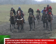 В Шелковском районе прошли скачки, приуроченные к дню рождения Пророка Мухаммада (с.а.в.)
