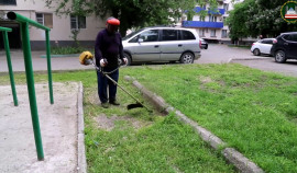 В Грозном продолжаются масштабные субботники