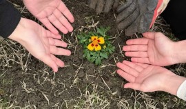 В ЧГУ им. А.А. Кадырова прошла экологическая акция ко Дню посадки цветов