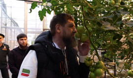 Рамзан Кадыров посетил один из крупнейших тепличных комплексов региона — «ЮгАгроХолдинг»