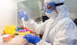 В России провели более 69,1 миллиона тестов на COVID-19