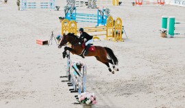 Чемпионат и Первенство России по вольтижировке пройдут в Тверской области