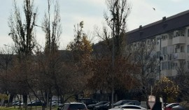 АО «Чеченэнерго» предупреждает о плановых отключениях электроэнергии 13 и 14 декабря