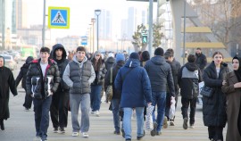 В Чеченской Республике уровень безработицы снизился с 8% до 3,2%