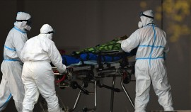 Суточный прирост числа заболевших COVID-19 в России снизится только к весне