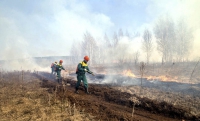 Поджигателей сухой травы и бытового мусора в ЧР будут привлекать к административной ответственности