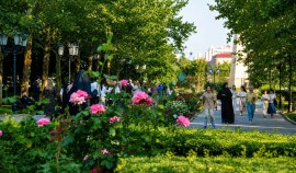 Грозный признан городом с самой благоприятной экологией в России| грозный, чгтрк