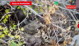 Рамзан Кадыров сообщил об уничтожении живой силы ВСУ на Сумском направлении