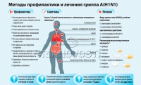 Роспотребнадзор и МЧС дают советы по профилактике гриппа A (H1N1) 2009