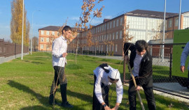 Учащиеся Гелдаганской школы приняли участие в Международной акции «Сад памяти»