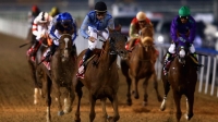 Лошади Рамзана Кадырова примут участие в Dubai World Cup