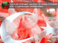 Россия отправит обратно 23 тонны турецких кур, содержащие антибиотики