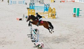 Этапы Кубка России по выездке пройдут в 5 федеральных округах