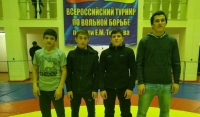 Борцы клуба «Ахмат» стали призерами Всероссийского турнира по вольной борьбе среди юношей