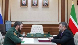 Магомед Даудов обсудил с Шарпуди Абдулазизовым итоги экологической работы за 2025 год