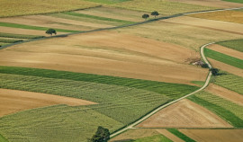 Более 160 гектаров неиспользуемых сельхозземель в ЧР введены в оборот