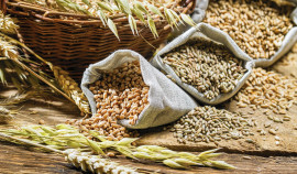 Россельхознадзор утвердил новые правила проверок для элеваторов