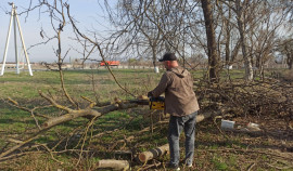 Курчалоевский район присоединился к акции «Мы за чистоту» — шаги к экологическому благополучию