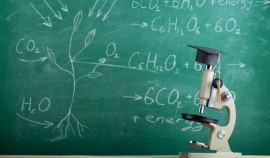 В России растет интерес выпускников школ к естественно-научным дисциплинам