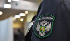 Специалисты Россельхознадзора разъяснили правила работы с пестицидами и агрохимикатами