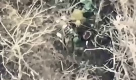 Рамзан Кадыров сообщил об эффективной работе стрелкового батальона им. Шейха Мансура в зоне СВО