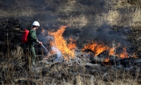 Леса Чечни будут охранять от пожаров специальные патрули 