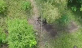 Рамзан Кадыров сообщил об очередной успешной боевой операции в Харьковском направлении