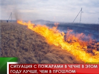 Ситуация с пожарами в Чечне в этом году лучше, чем в прошлом 