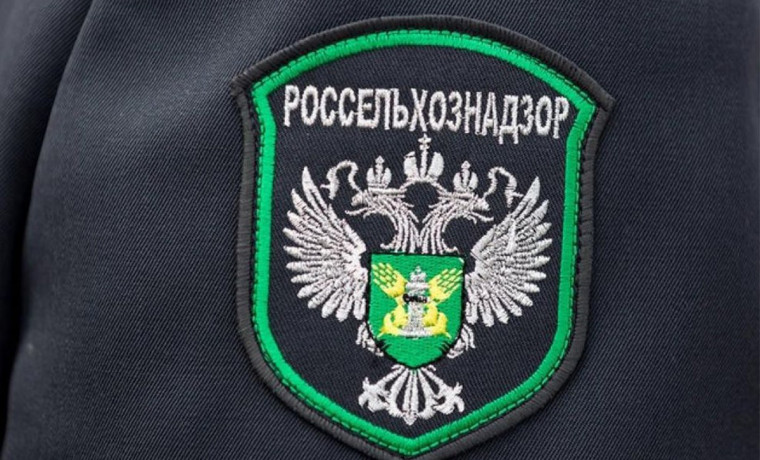 Россельхознадзор выявил зарастание 150 га сельхозземель в ЧР