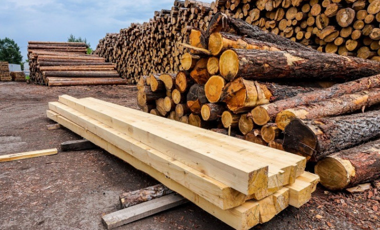 Россельхознадзора выявил нарушения при ввозе лесоматериалов в Чеченскую Республику