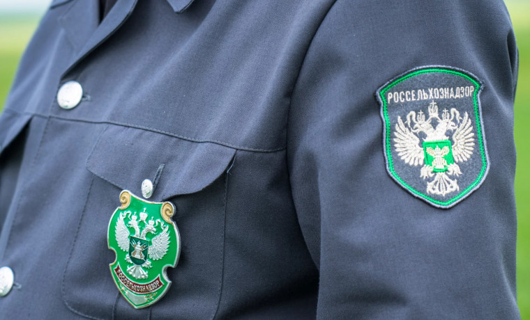 Поставки кориандра из Чеченской Республики в Узбекистан превысили прошлогодние показатели в 2,6 раза