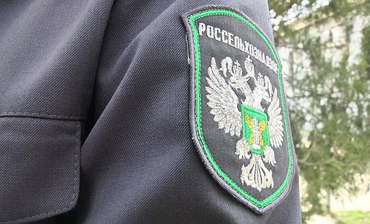 Россельхознадзор обсудил привлечение пенсионеров к волонтерскому ветеринарному контролю на рынках ЧР