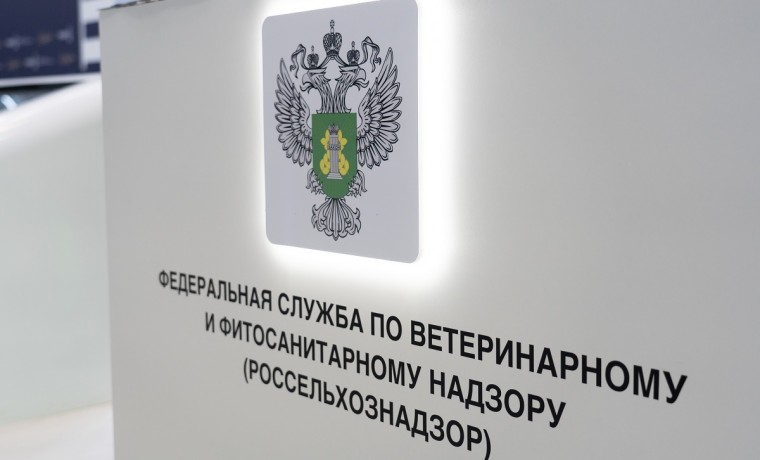 Россельхознадзор подвел итоги цифровой трансформации в 2025 году