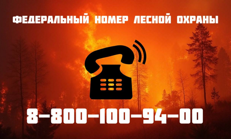 Минприроды ЧР рекомендует соблюдать правила пожарной безопасности