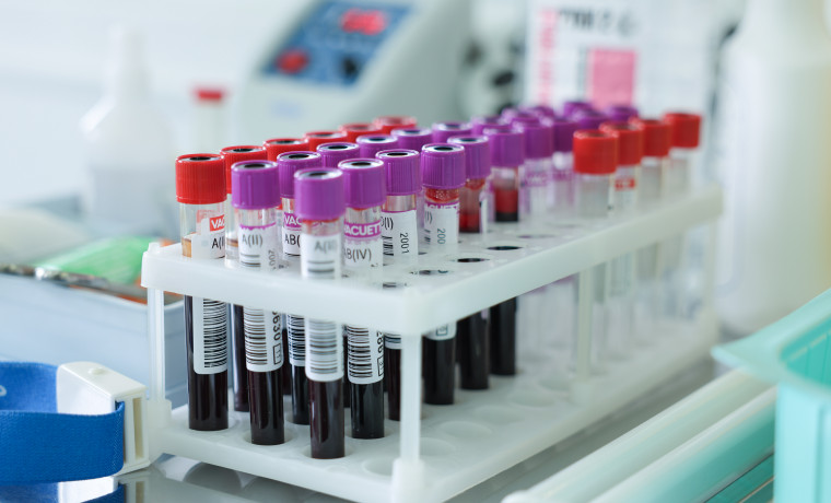 Около 120 000 жителей ЧР прошли диспансеризацию репродуктивного здоровья с 2025 года