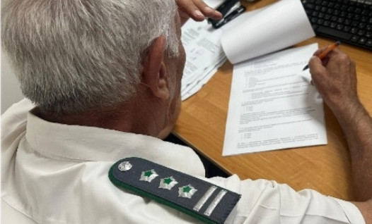 Россельхознадзор проверил знания сотрудников для повышения эффективности надзора