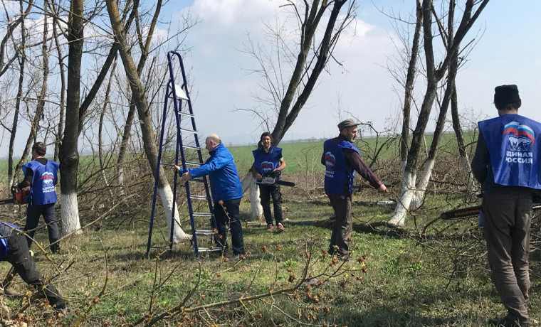 В Чеченской Республике партийцы «Единой России» и волонтеры вышли на уборку улиц