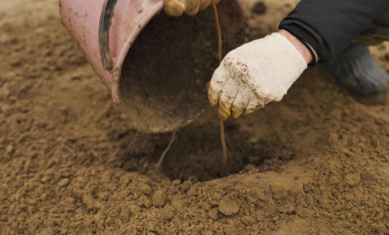 В ЧР продолжается комплексное благоустройство Капустинского водохранилища