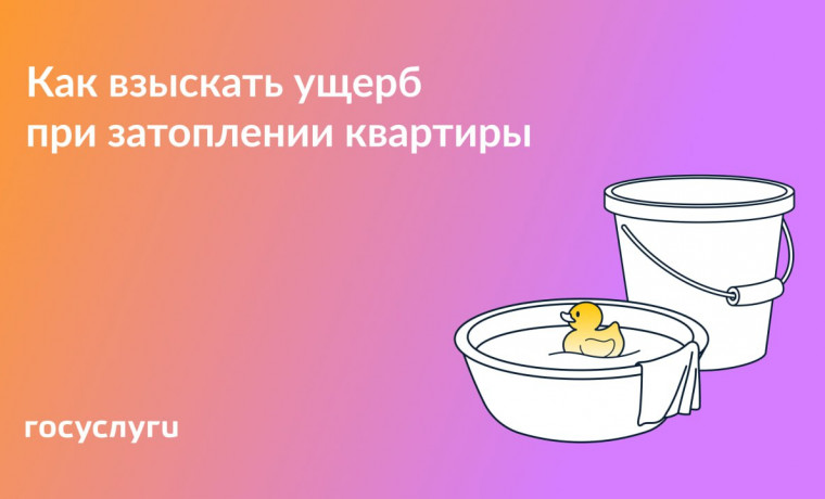 Что делать, если соседи затопили квартиру: пошаговый план действий