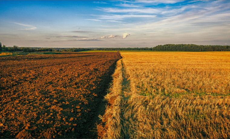 Россельхознадзор начал масштабный мониторинг сельхозземель в Чеченской Республике