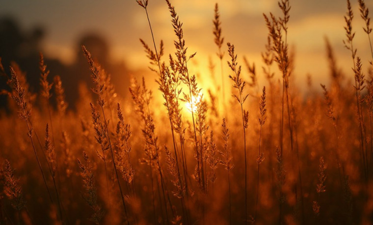 Береги природу: соблюдай правила в пожароопасный сезон!